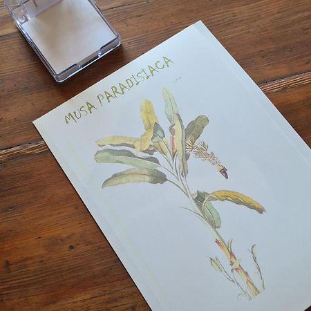 Musa Paradisiaca 6, Un Angolo Tropicale A Torino Luaran gambar